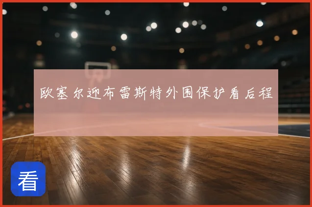 欧塞尔迎布雷斯特外围保护看后程